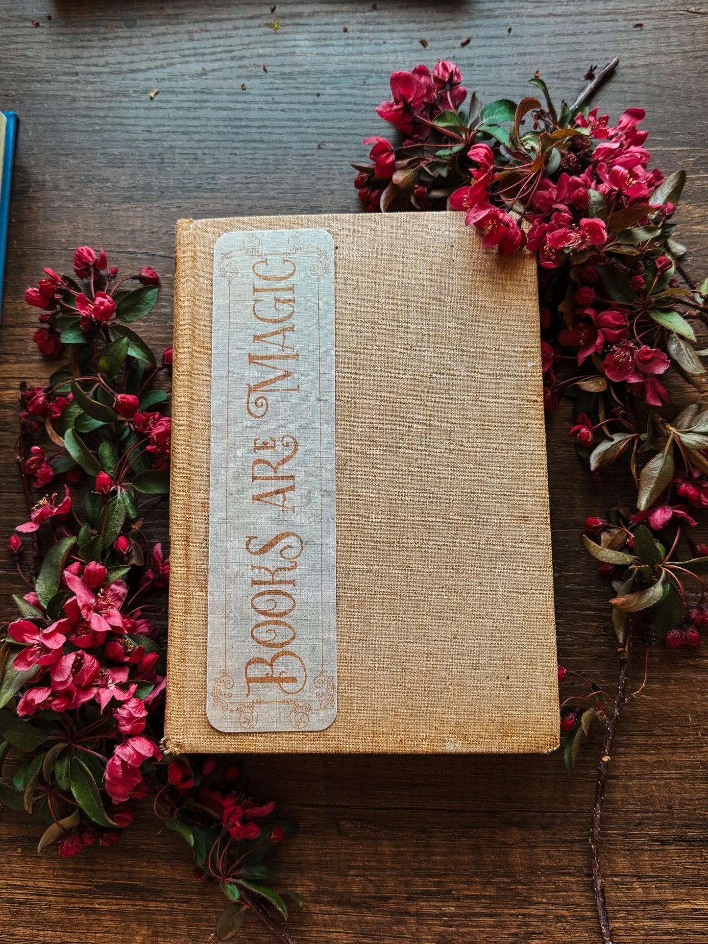 Books are Magic Bookmark