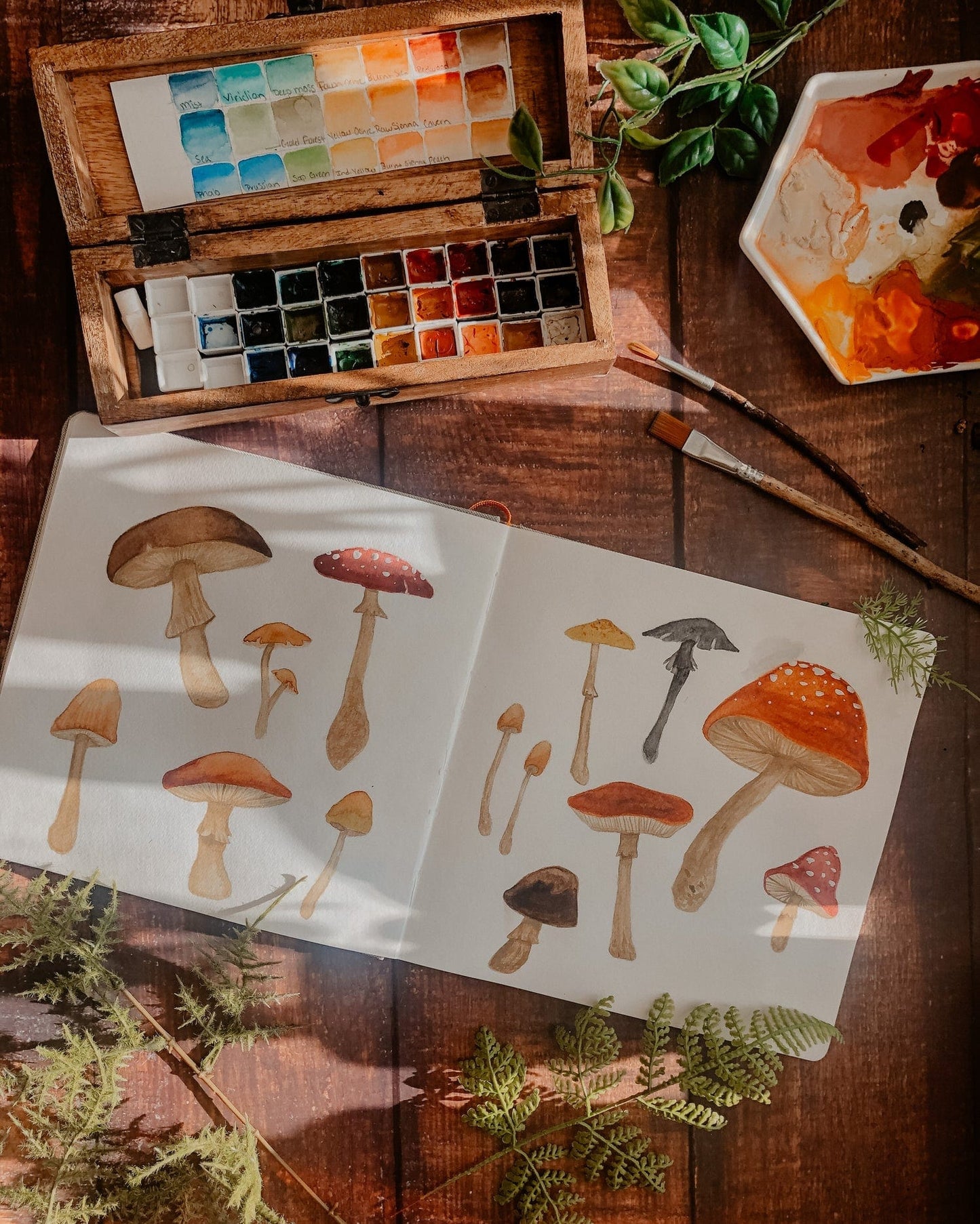 Watercolor Mushrooms Sweatshirt