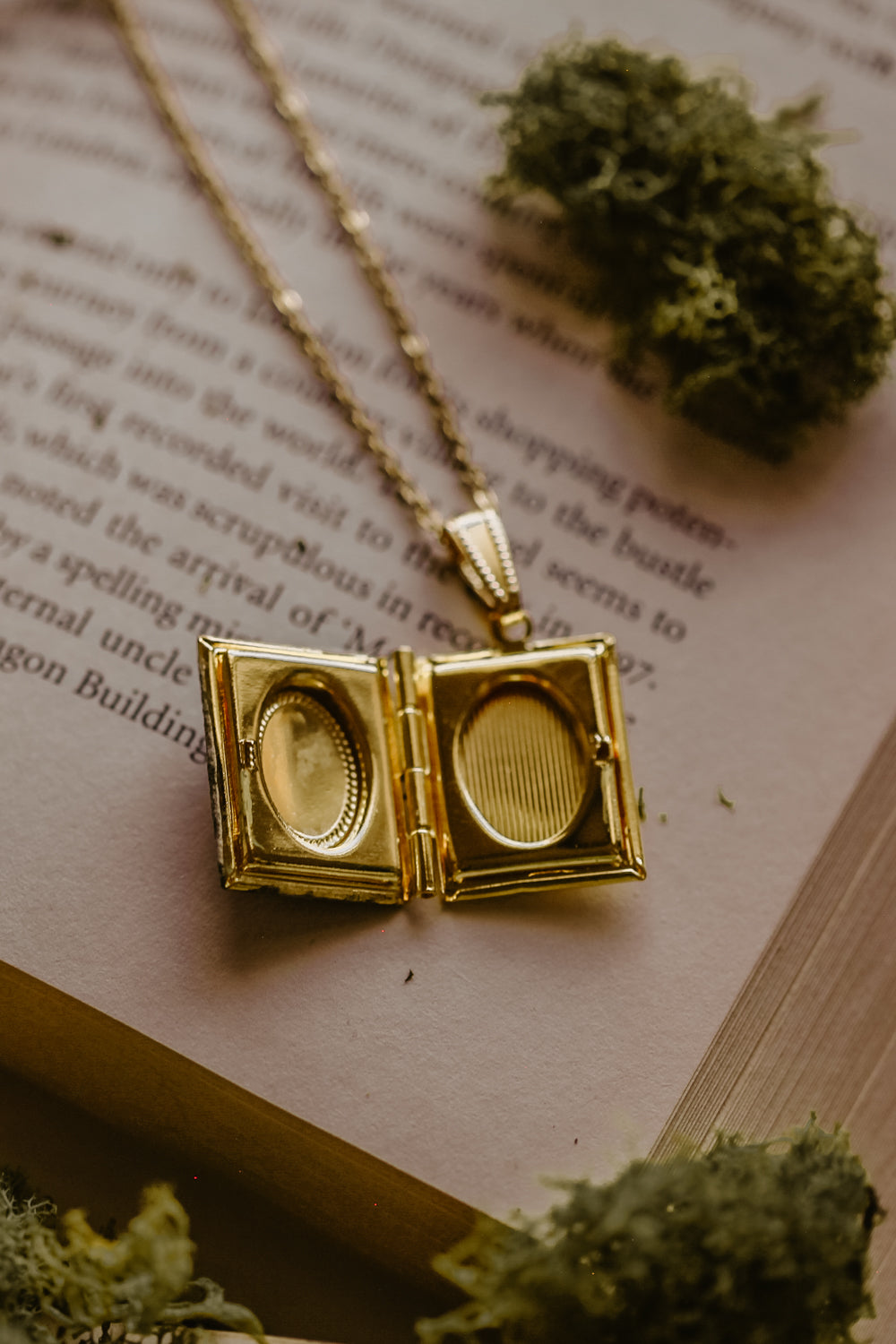 Hand Painted Mushroom Locket (small oval version)