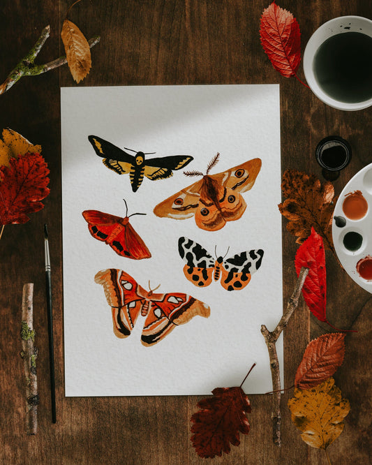 Autumn Moths Print